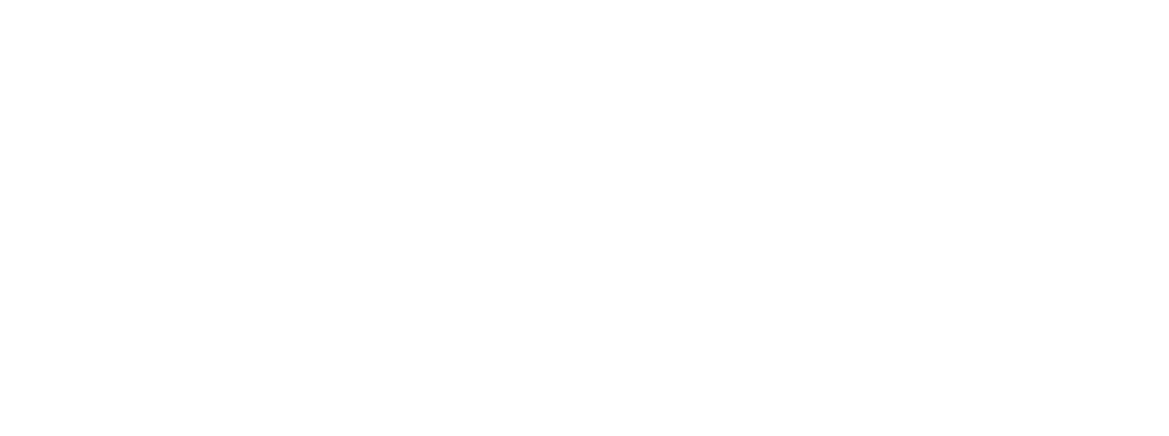 CECCOPIERI SPA Logo